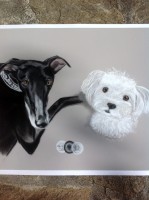 /album/galerie-photos/photo-1489-jpg/